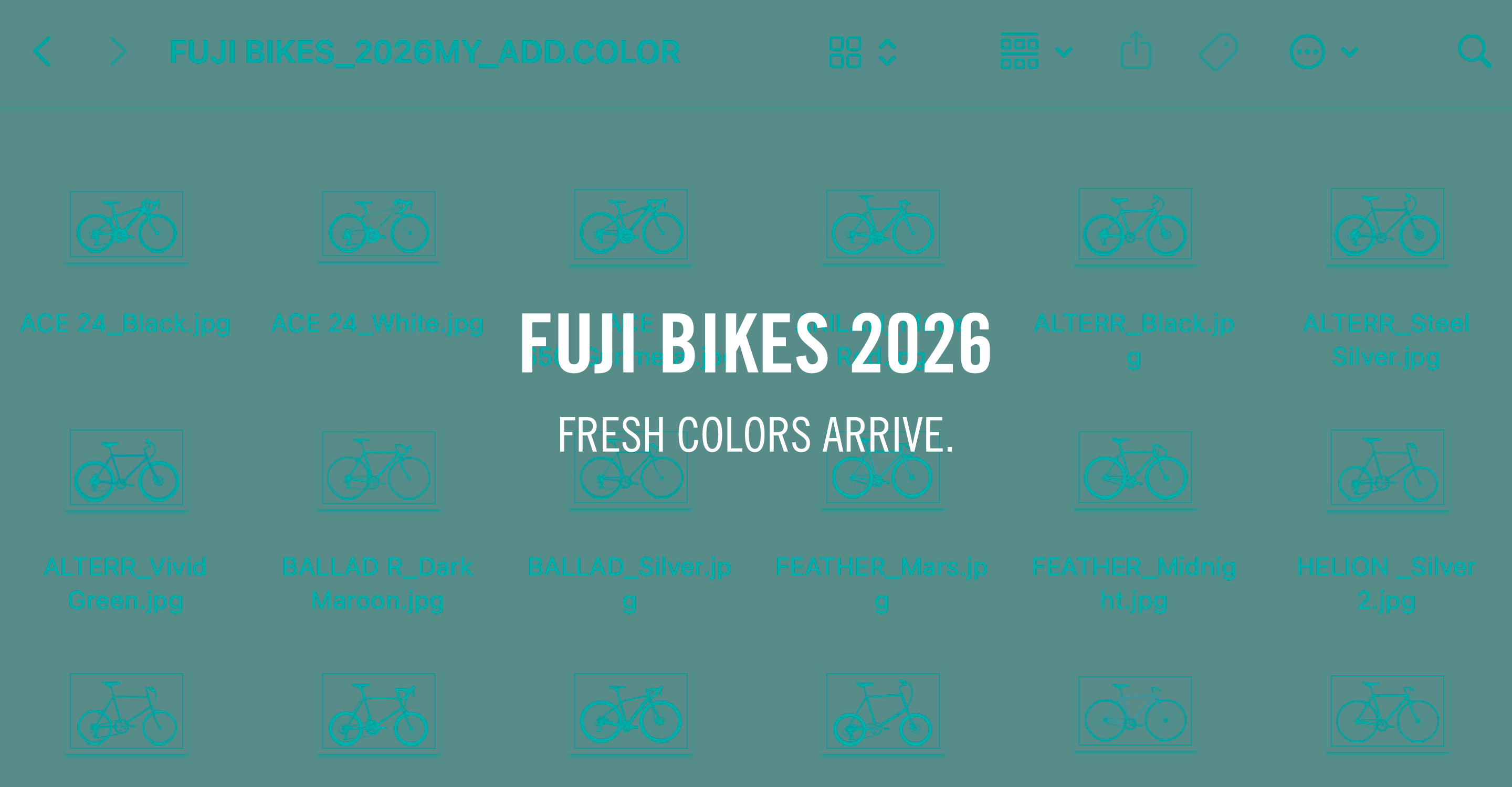 FUJI 2026年のニューカラーを発表！