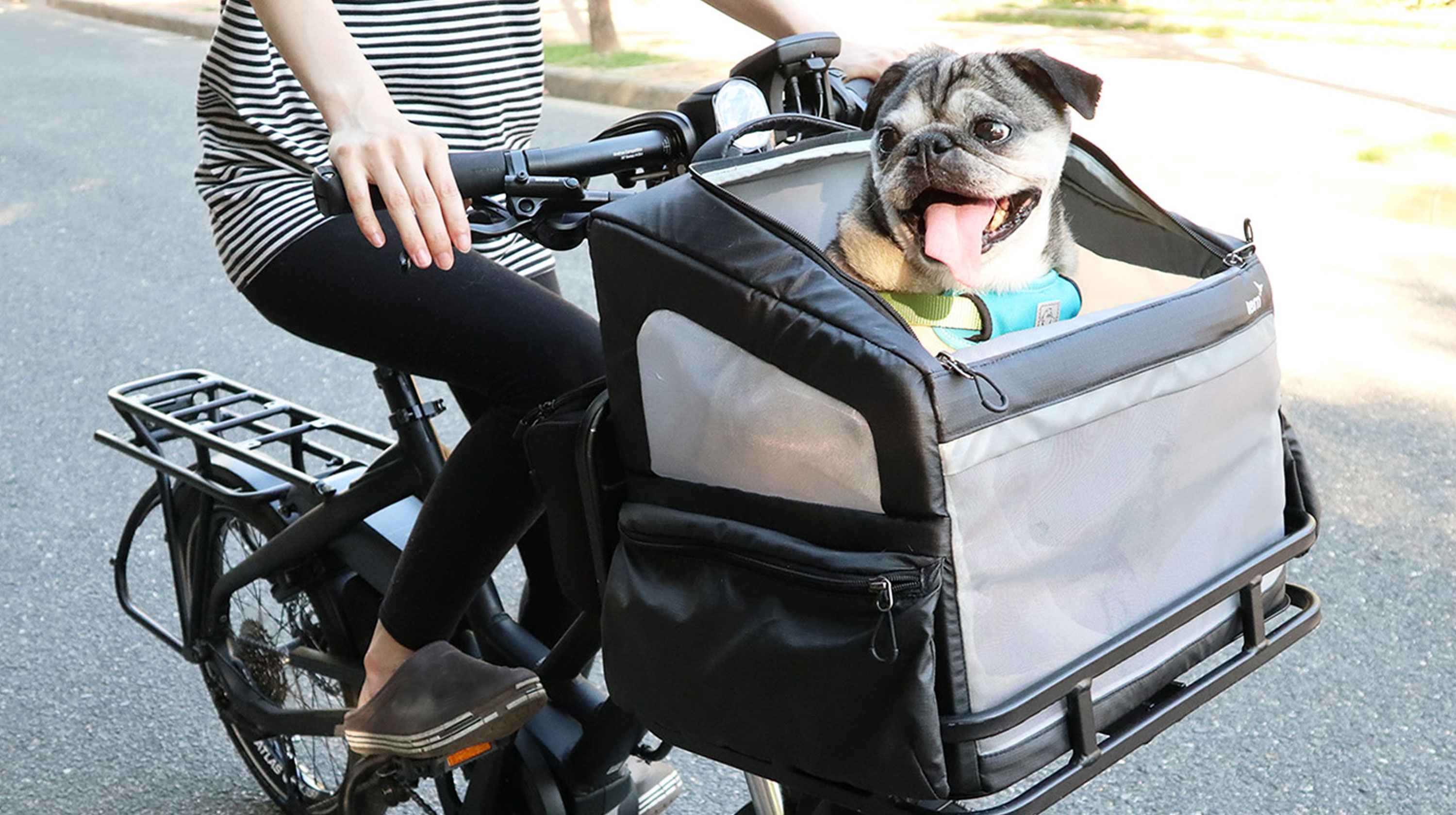 【Custom】ワンちゃんとのお出かけが、もっと好きになる。「Ruff House」で始める新しい形の自転車散歩。