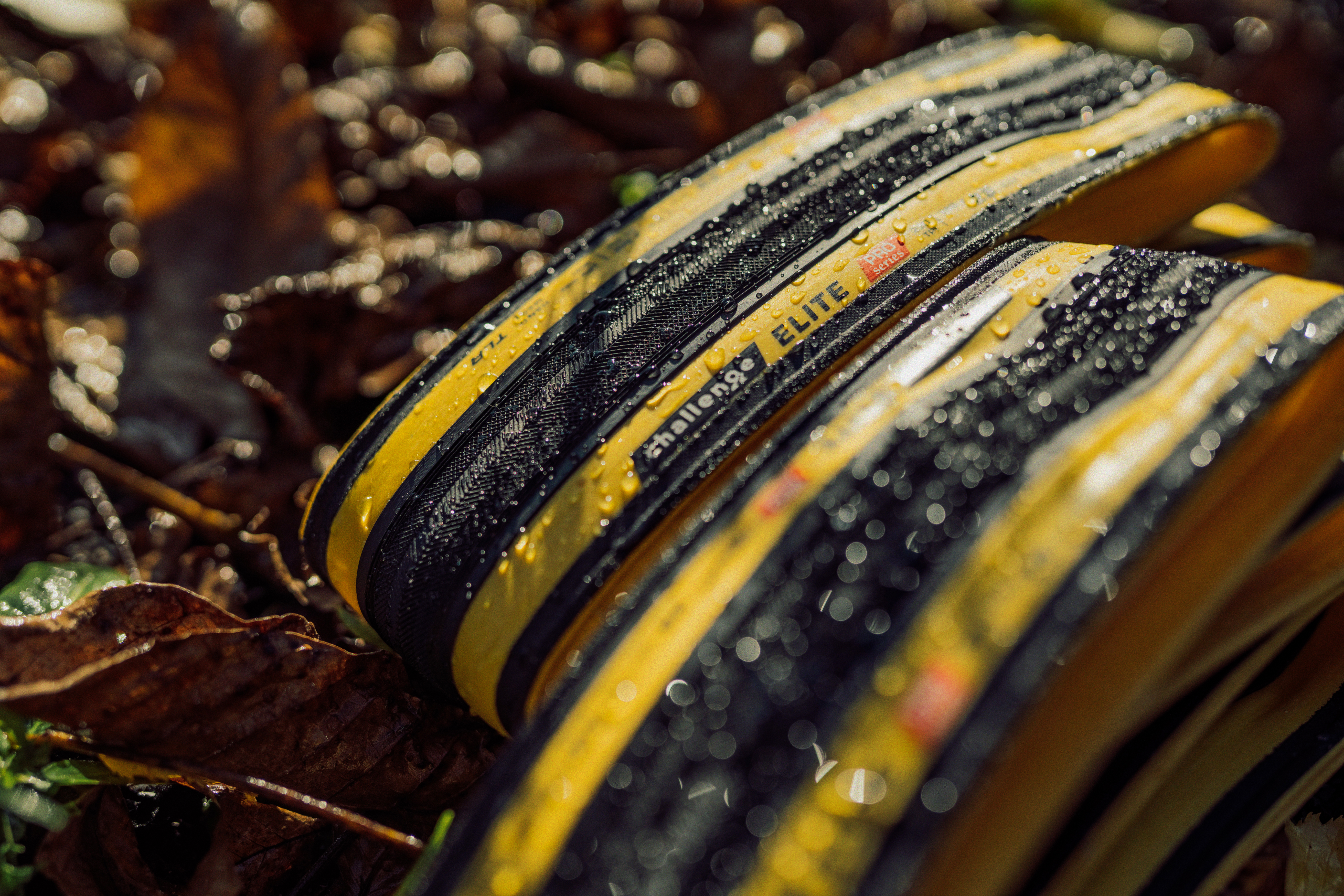 挑戦は次のステージへ─Challenge 2026 ロードモデル登場