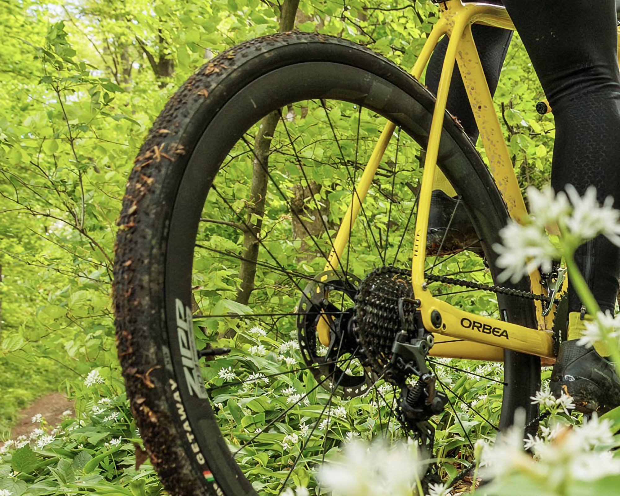 グラベルタイヤ選びの基本