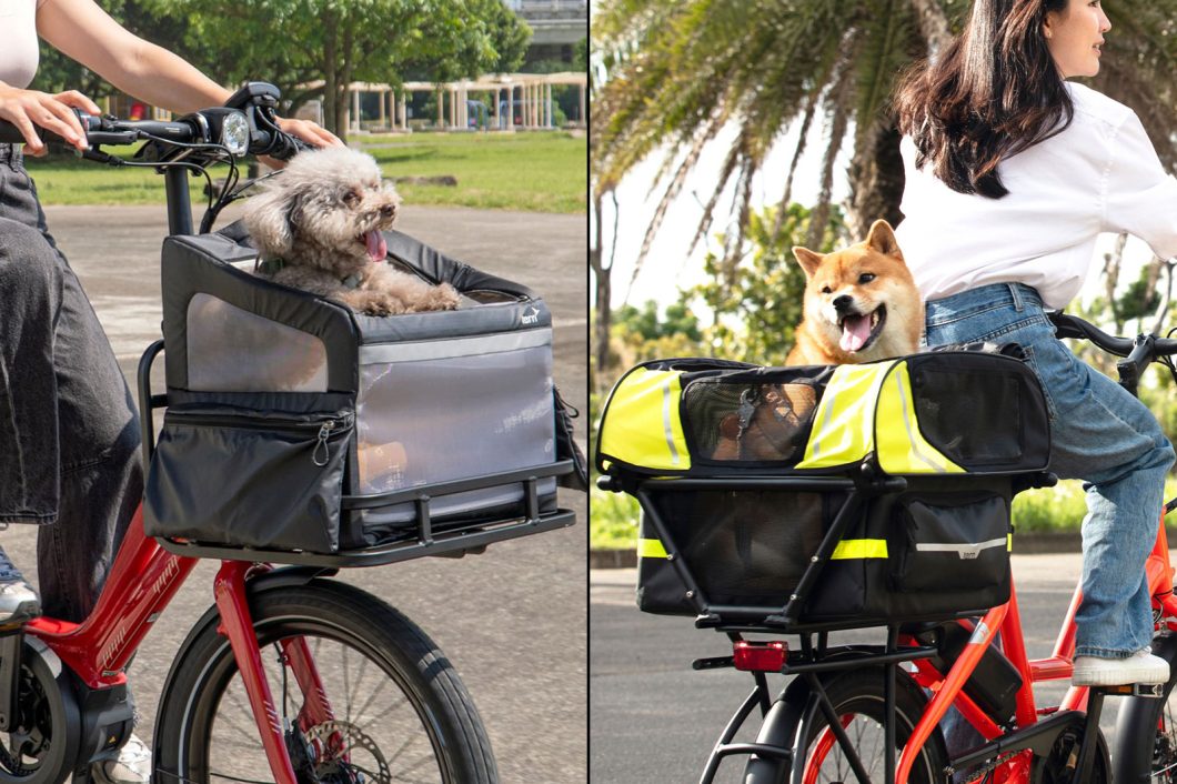 ワンちゃんカスタム